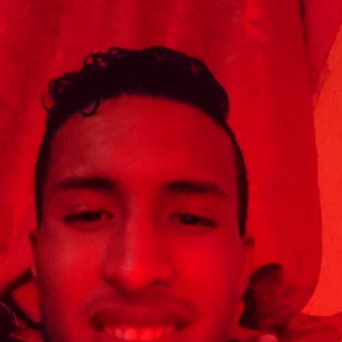 palejan517