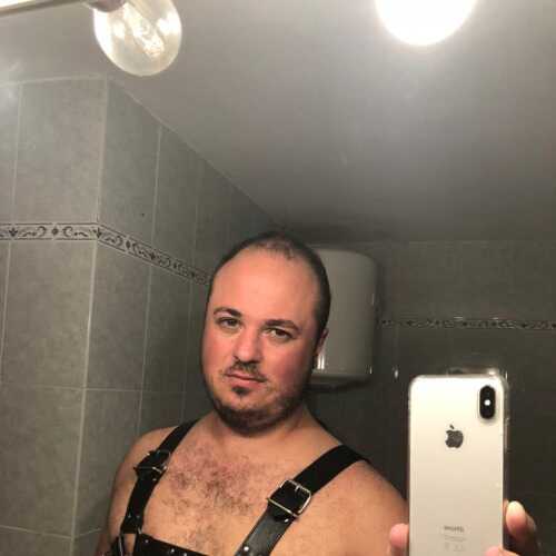 SumiDogCs