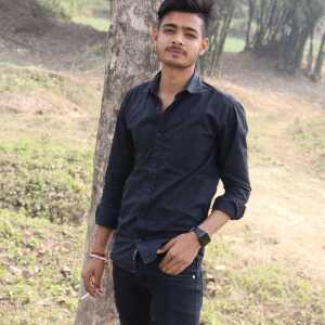 LoyalEngineericabca