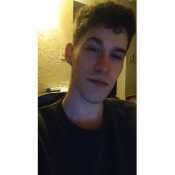 alfgod24