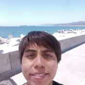 Aleger31