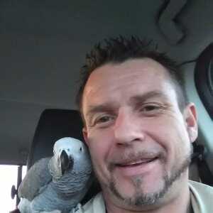 Schalk31