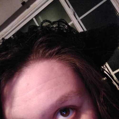 Kitten622