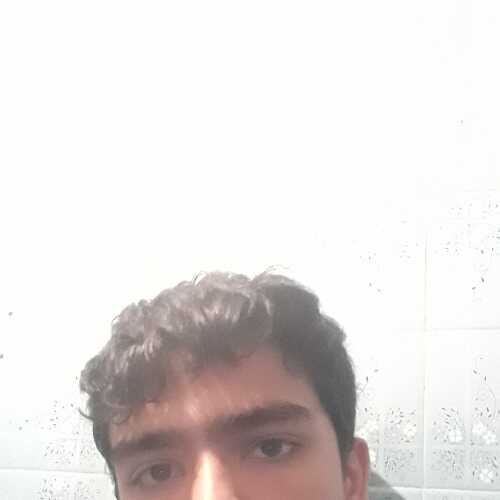 Alexander52sy