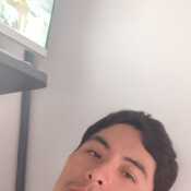 napo519