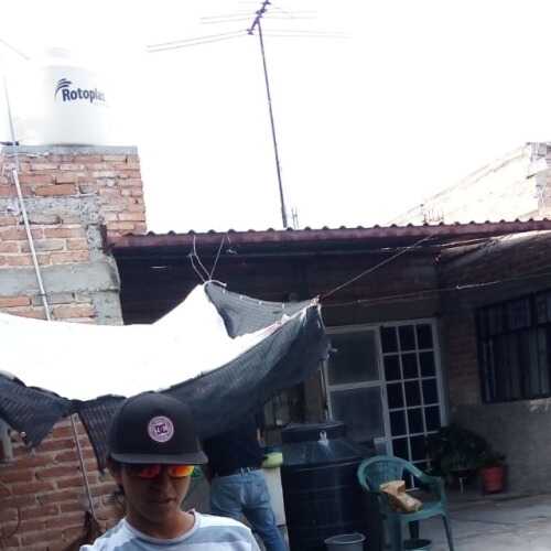 Calvo360