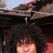 Mulato38