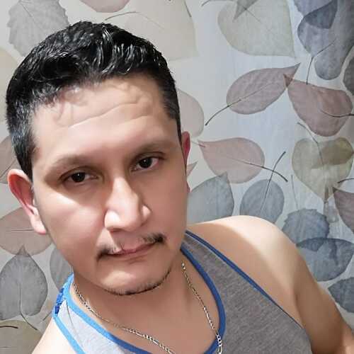 gar833