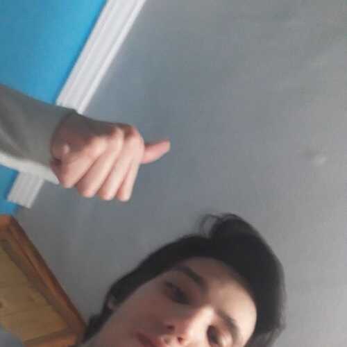 calculad365