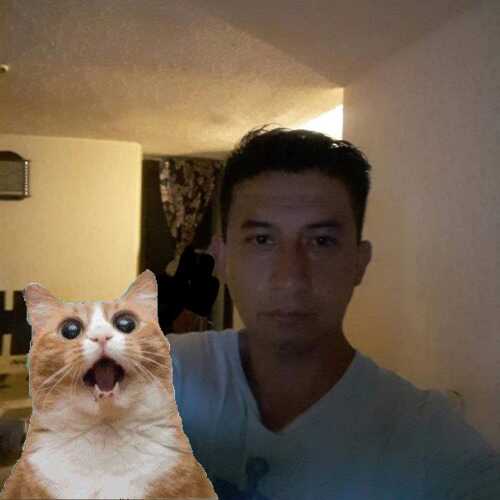 jorgecam100