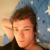 Hornybull 