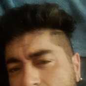 Potro