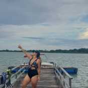 Vane
