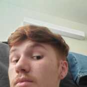Gingerbreadman31