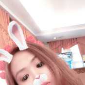 Polybunny