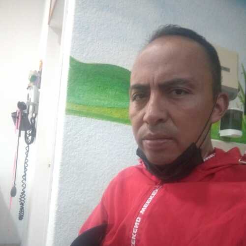 ant60