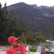 Vergote