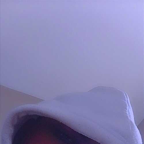 Daemonet