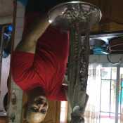 josesot168