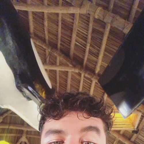 Dylan781