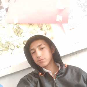 fdidffeegbddeffa