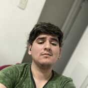 D3M