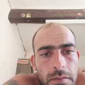 Junco31