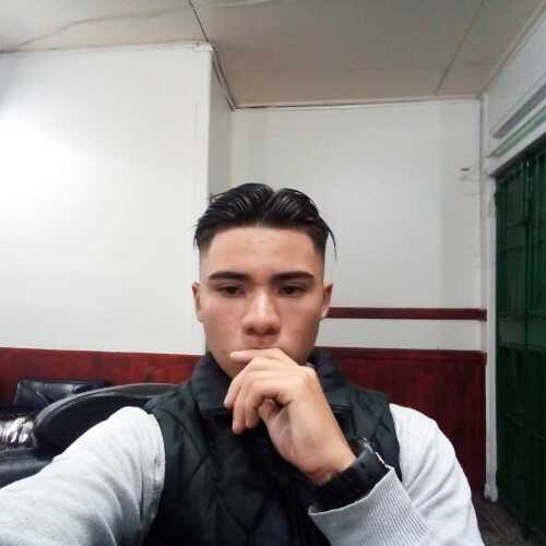 lovo95