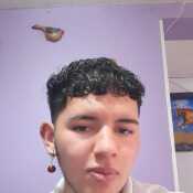 harrissonmendi417