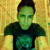 Fercastillo