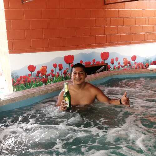 LUIS12auv
