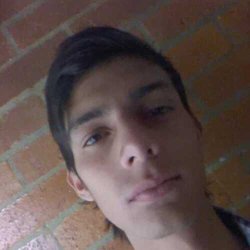 palacio323