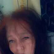 gypsylea