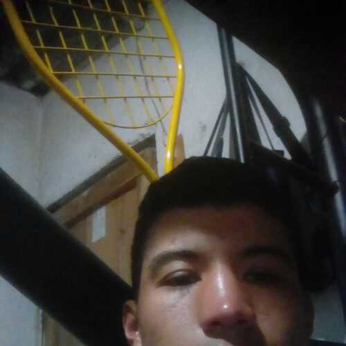 parraedis250