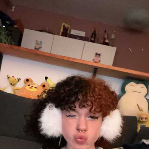 Trans Alliet 