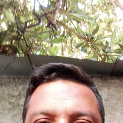 alejandroal484