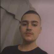 mrpingo187
