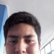 fabi384