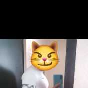 marmoleos117