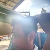 Nhel