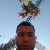 diazluisd607