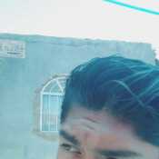 HourseDark