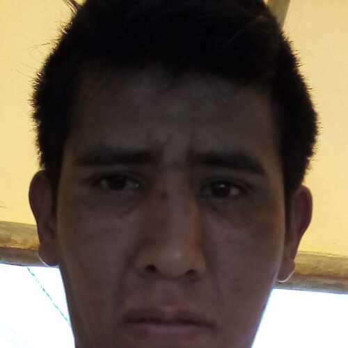 arellanoser459