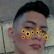 anton274