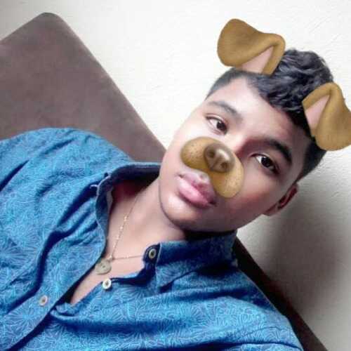 luis229