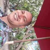oved555