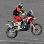 Toxo74