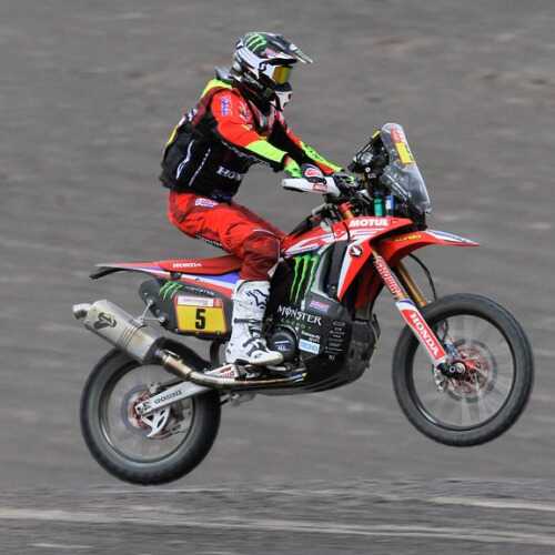 Toxo74