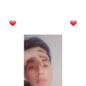 francocarbajalgonza561