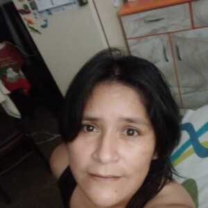 zebrilla